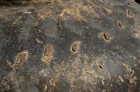 褐釉大口罐藏品圖，第8張